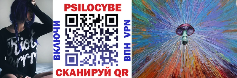 Купить закладки  Себеж  Галлюциногенные грибы Psilocybine cubensis 